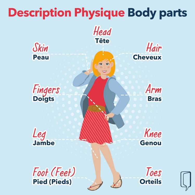 Se d crire physiquement en anglais Wall Street English